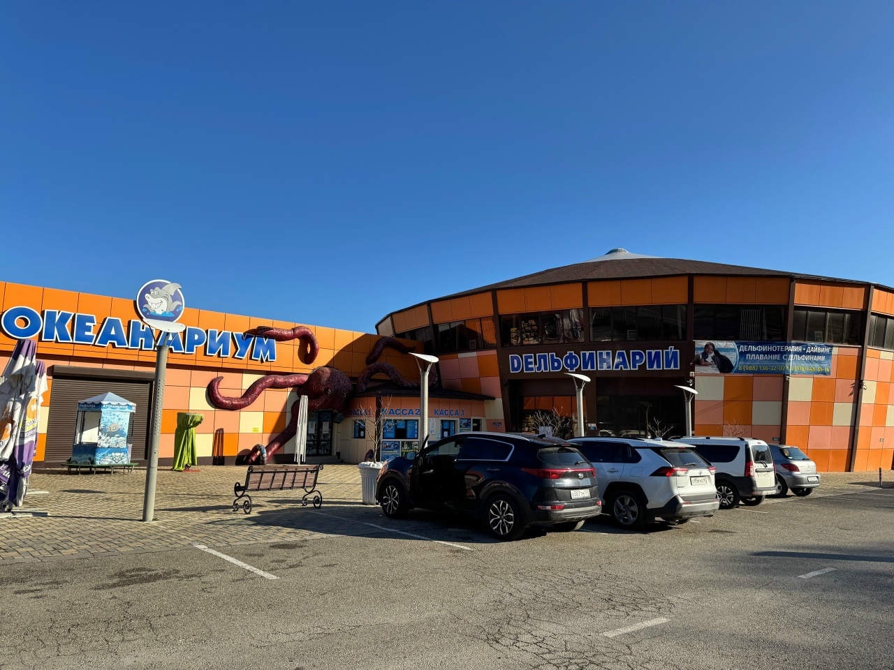 Дельфинарий