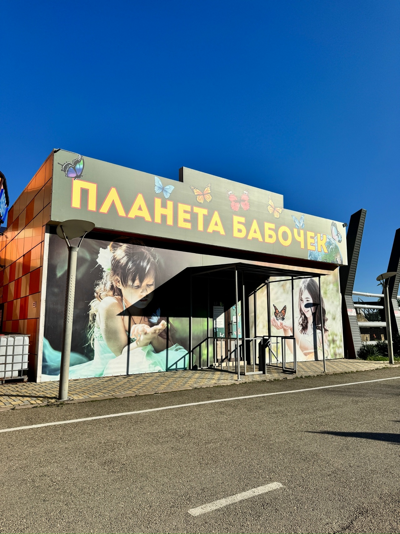 Планета бабочек